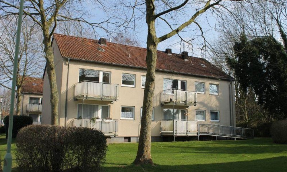 SHG+++ Schöne frisch renovierte 2-Zimmerwohnung wartet auf ihren neuen Mieter