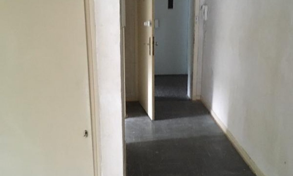 SHG+++ Ruhiges 1,5-Zimmer-Apartment wartet auf Ihren neuen Mieter