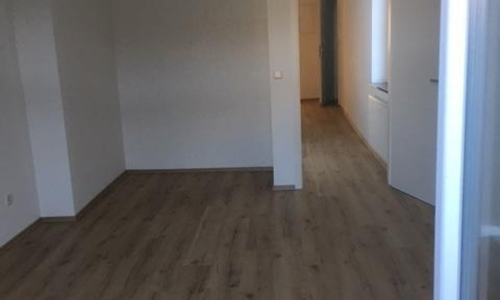 SHG++++ hochwertig sanierte und großzügige 4-Zimmer Wohnung im 1. OG zu vermieten