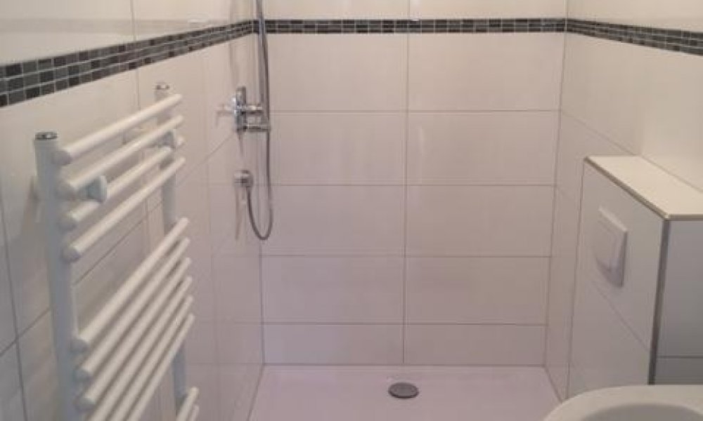 SHG++++ hochwertig sanierte und großzügige 4-Zimmer Wohnung im 3. OG zu vermieten