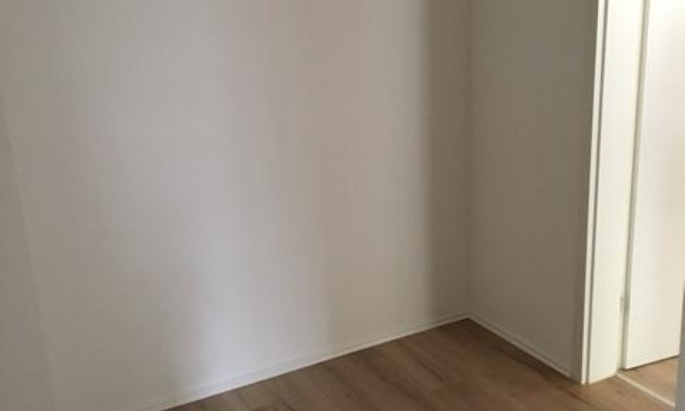 SHG+++ Kernsanierte 2 -Zimmerwohnung mit Balkon zu vermieten