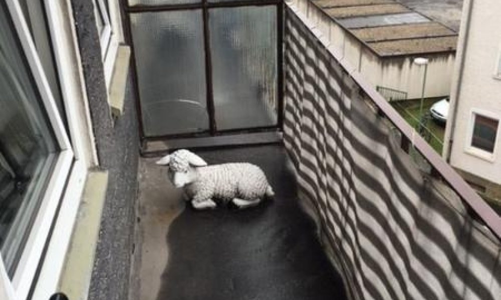 SHG+++ Gemütliche 3-Zimmerwohnung mit Balkon in Hagen-Mitte, zentral gelegen, zu vermieten