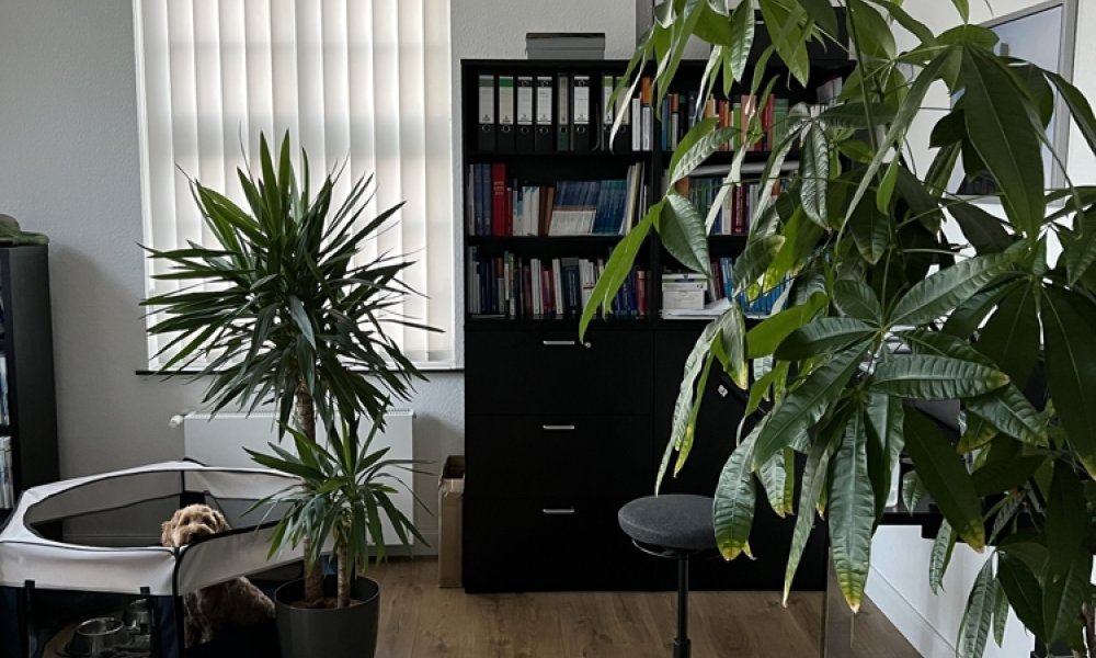 SHG+++ Großzügiges Büro direkt am Landgericht Hagen im Haus der Ruhrkohle