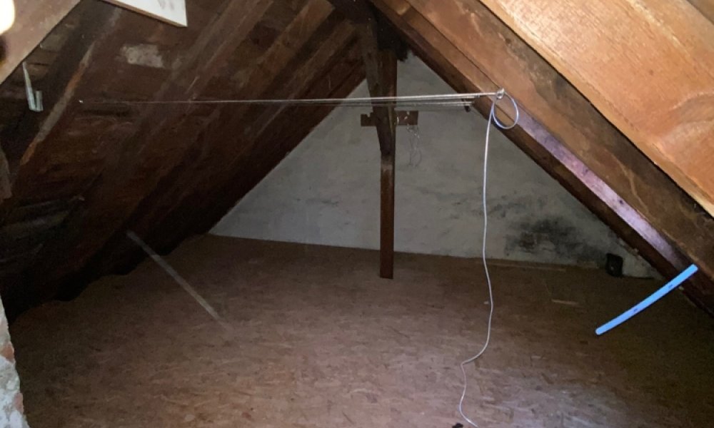 SHG+++ Kernsanierte 3,5-Zimmer Wohnung inkl. kompletten Dachgeschoss