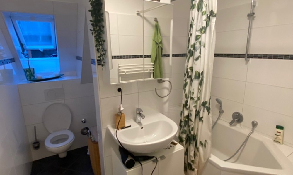 Kernsanierte 3,5-Dachgeschoss Wohnung + kompletter Spitzboden zu freien Verfügung