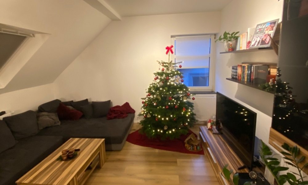 Kernsanierte 3,5-Dachgeschoss Wohnung + kompletter Spitzboden zu freien Verfügung