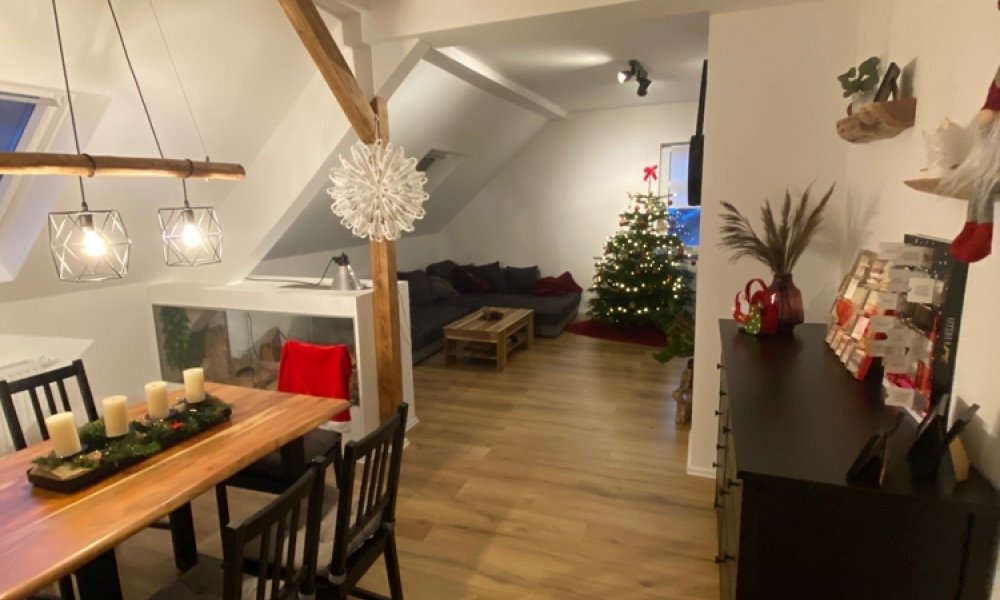 Kernsanierte 3,5-Dachgeschoss Wohnung + kompletter Spitzboden zu freien Verfügung