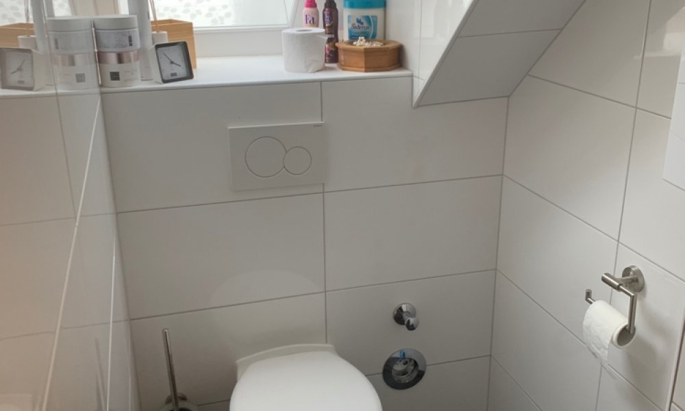 Kernsanierte 3,5-Dachgeschoss Wohnung + kompletter Spitzboden zu freien Verfügung