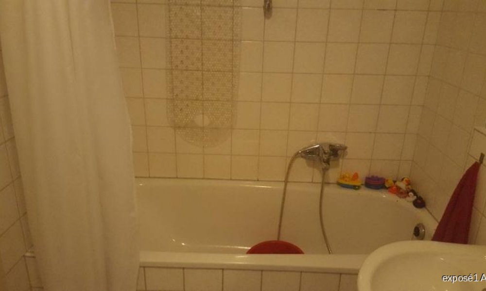 SHG+++ Wunderschöne Wohnung. Offen gestaltet mit Loggia und G-WC (Wohnberechtigungsschein notwendig)