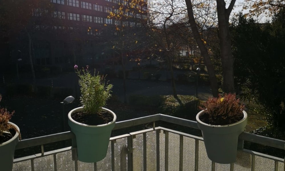 SHG+++ Schöne praktische 1,5 Zimmerwohnung