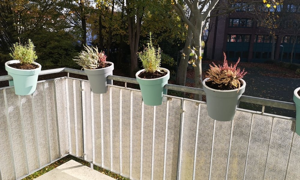 SHG+++ Schöne praktische 1,5 Zimmerwohnung