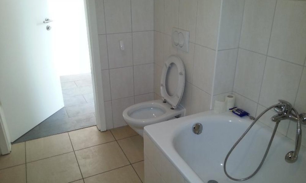 SHG+++ Schöne großzügige Wohnung auf Gut Rocholz