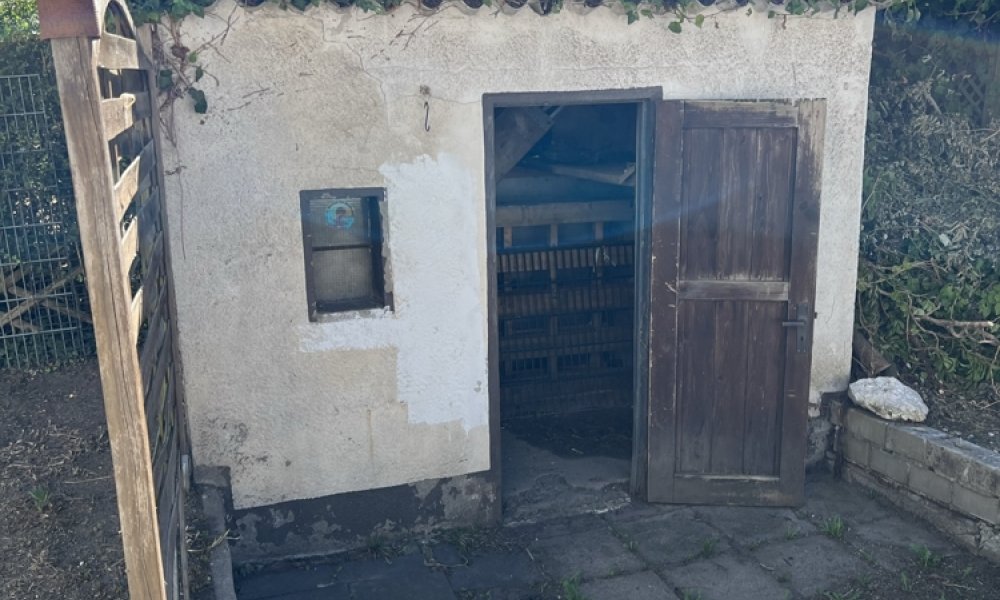 SHG+++ Attraktive DHH in Top-Lage - Kernsaniert und luxuriös ausgestattet